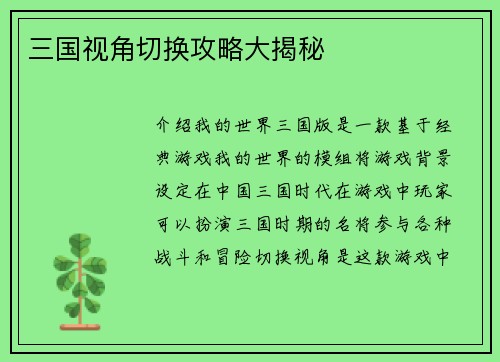 三国视角切换攻略大揭秘